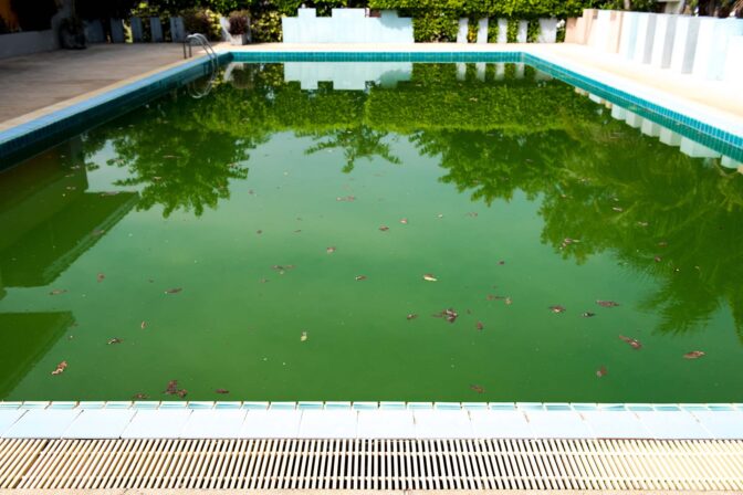 green swimming pool water treatment